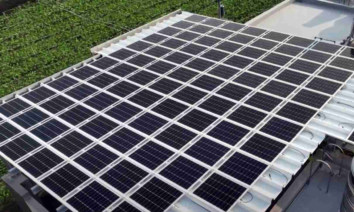 OBPaySunSteel光电浪板升级双玻结构，，，以提升机械负载强度及气候耐候度，，，，可广泛运用于多元场域